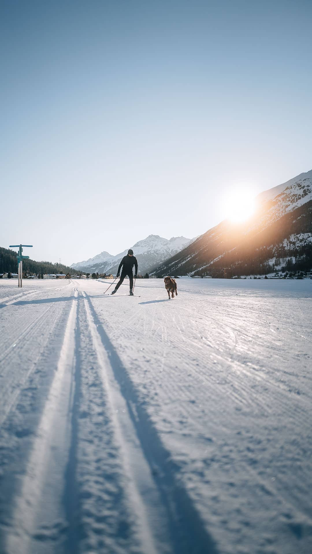 Langlaufen im Sonnenuntergang
